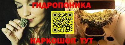 винт Краснодар