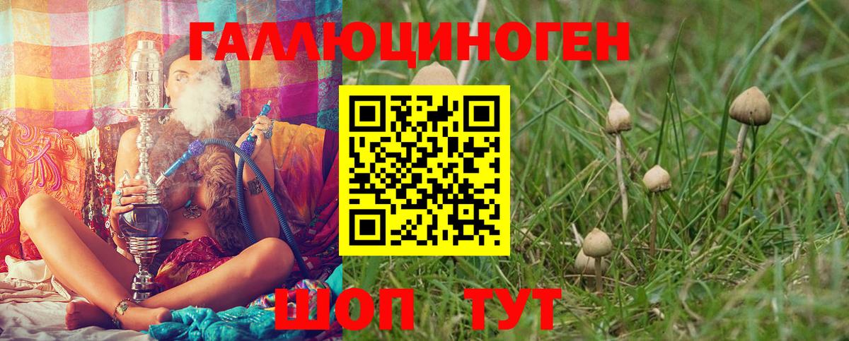 Галлюциногенные грибы Psilocybine cubensis  Вход с VPN  Дубна 